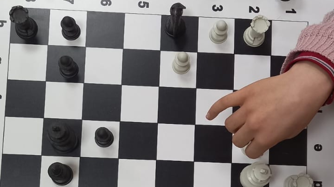 Ali Ayber Lisesi Satranç Turnuvası